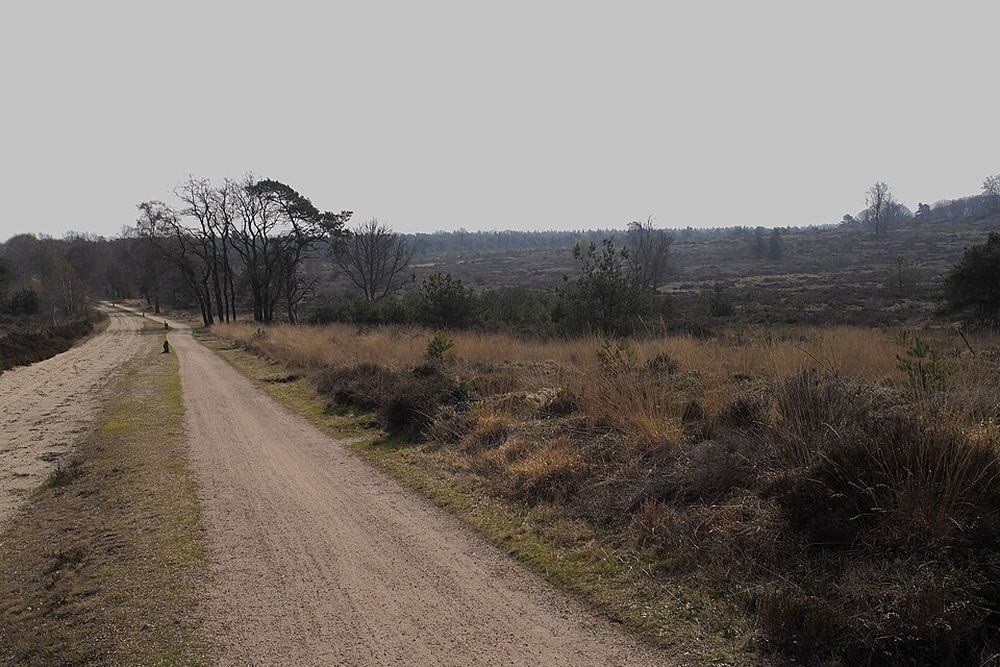 Trailgebied Sallandse Heuvelrug