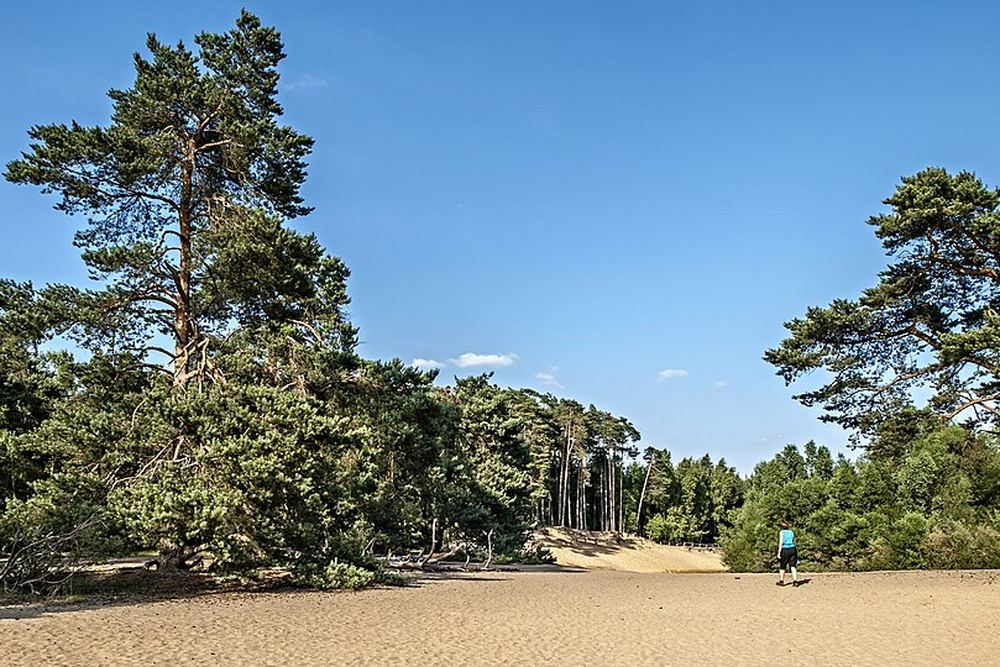 Trailgebied Lutterzand